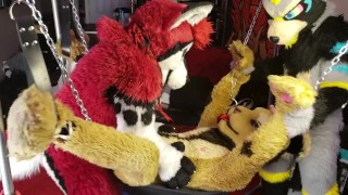 LiondogAri Gangbang Pt 1